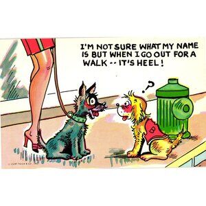 Vintage Curt Teich Comic Dog Postcard Its Heel